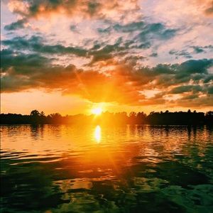 Meet your Posher, Bailey